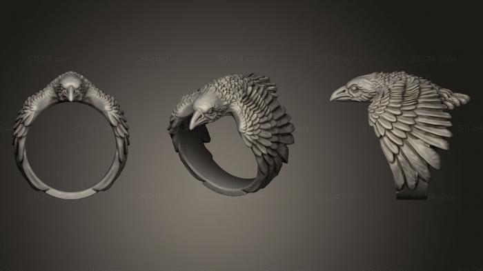 Jewelry rings (Ravens Eye Ring, JVLRP_0027) 3D models for cnc